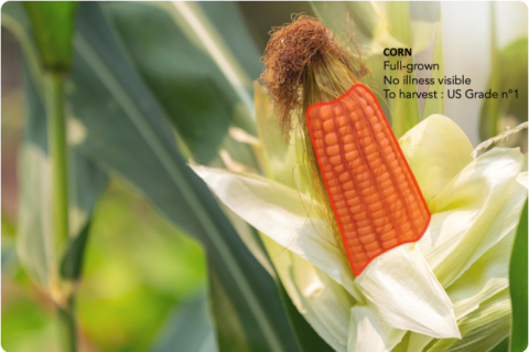 Nos services d’annotation de données