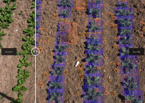 Agriculture et technologie